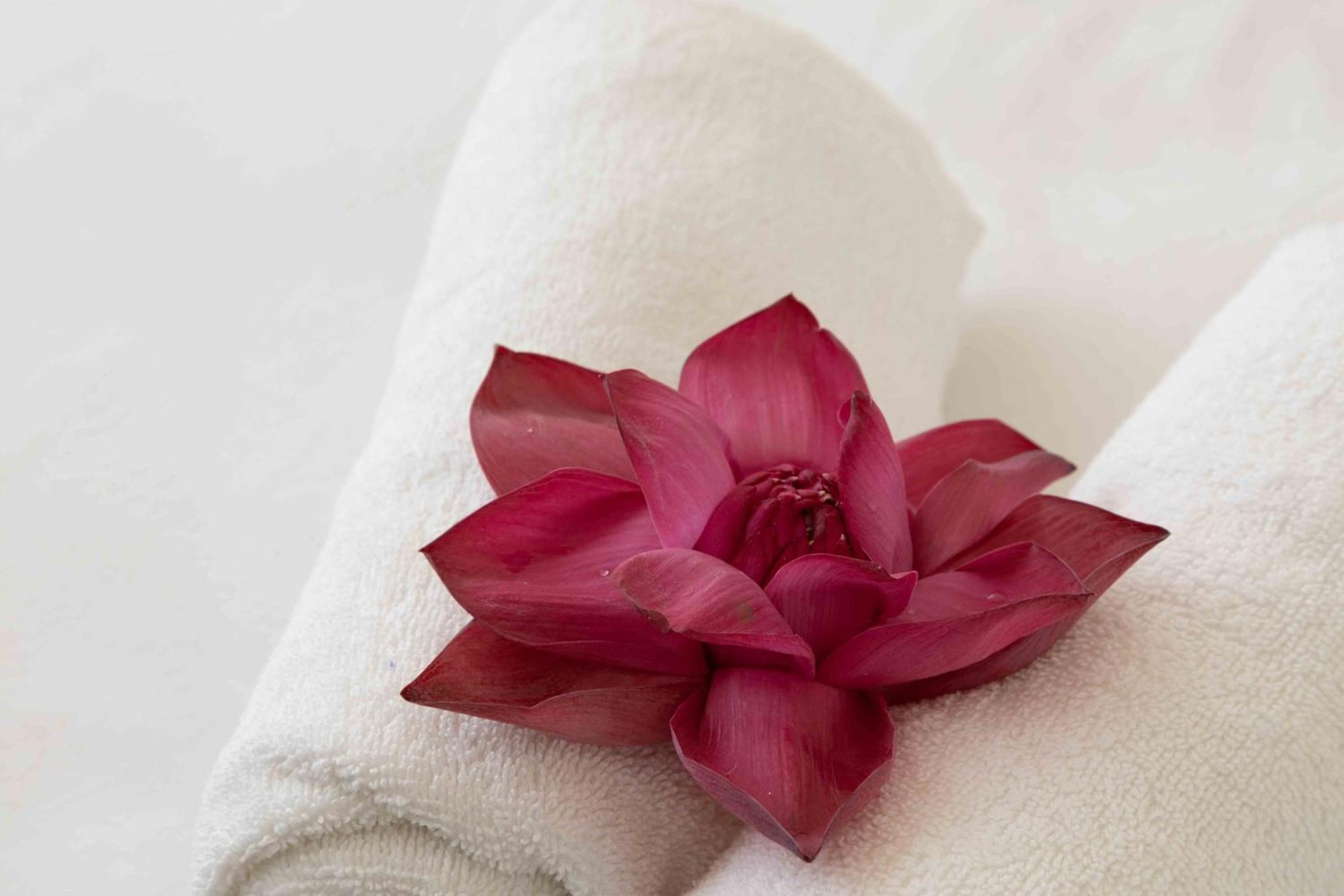 Lotus Colombo Guesthouse 외부 사진