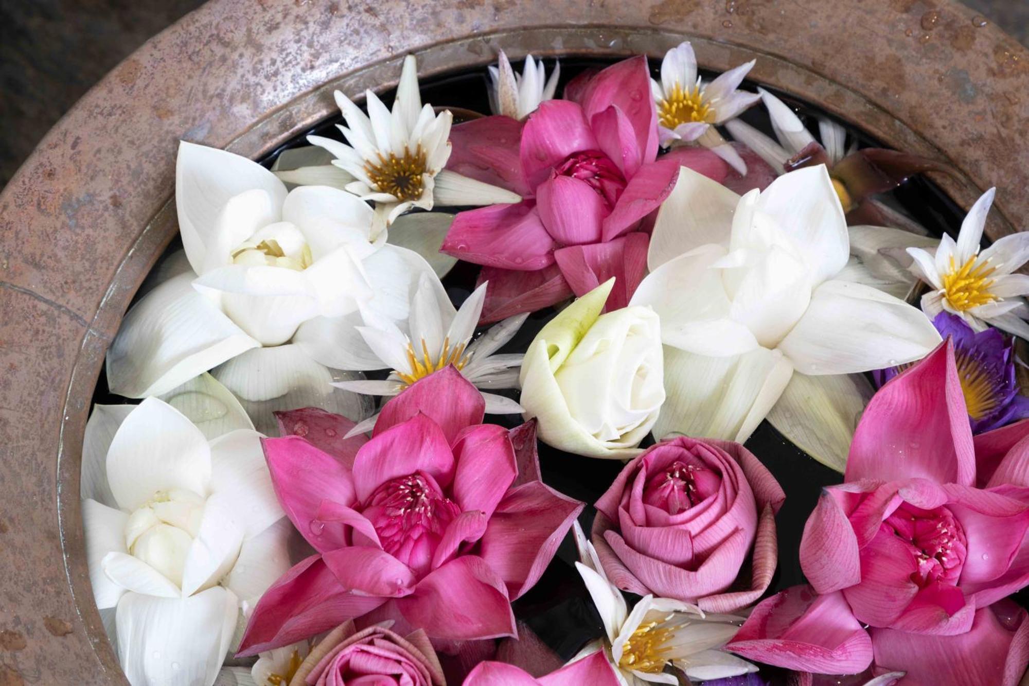 Lotus Colombo Guesthouse 외부 사진